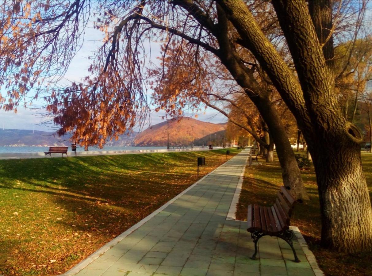 Apartman Bella Vista Golubac Luaran gambar