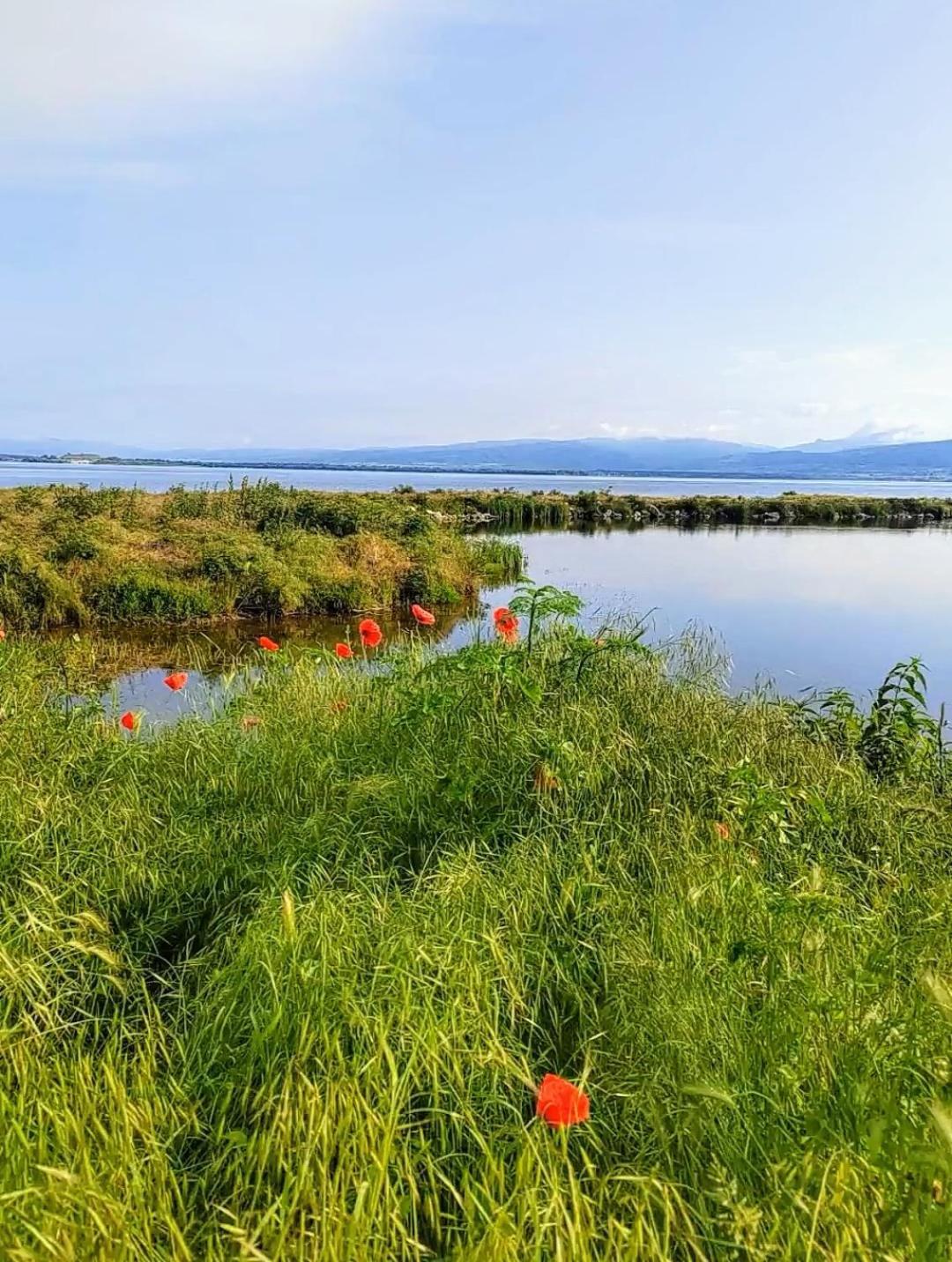 Apartman Bella Vista Golubac Luaran gambar