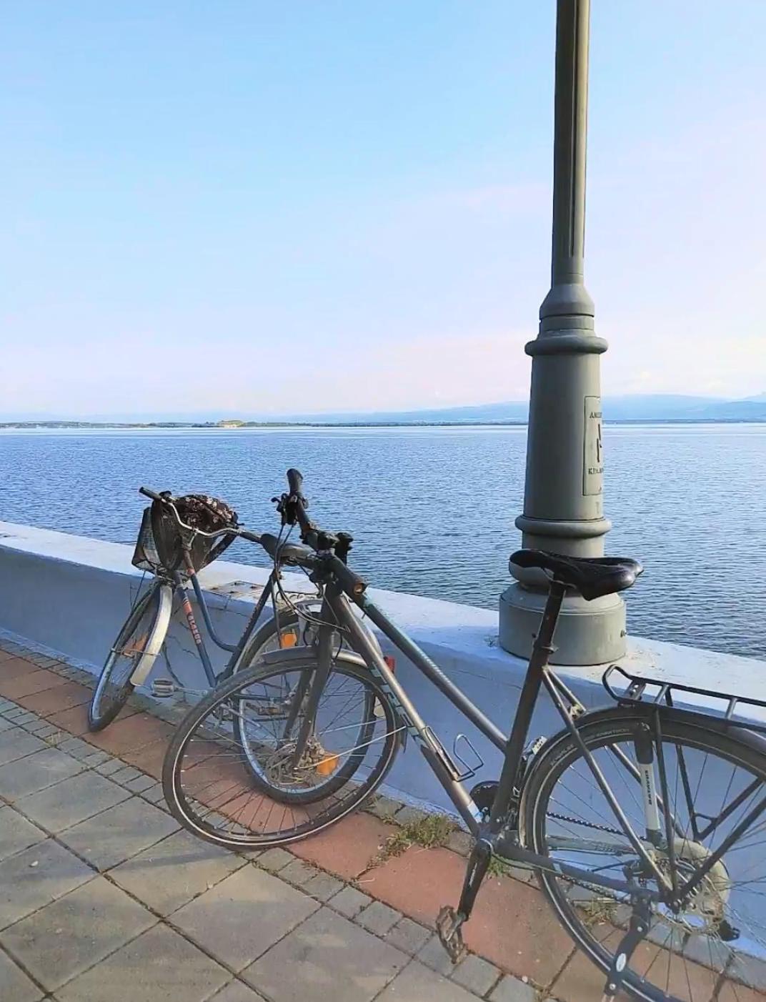 Apartman Bella Vista Golubac Luaran gambar